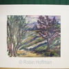 18_orchard_quebeck_thumb