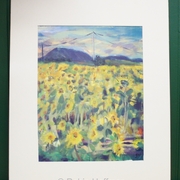 24_sunflower_field_card