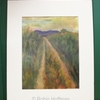 23_cornfield_thumb