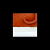 Dscf4887_thumb
