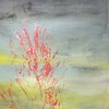 100_0800_thumb