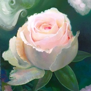 100_0217_card