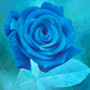 100_0212_card