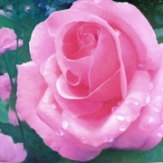 100_0206_card