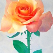 100_0208_card