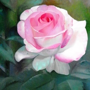 100_0213_card