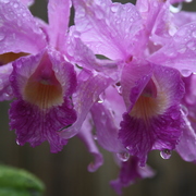 Img_5387_card