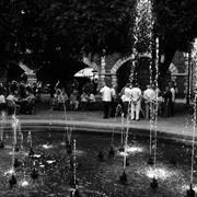 Img_5274_card