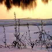 1_snow_012_card