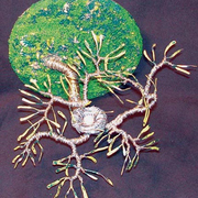 Bird_nest_no