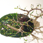 Bird_nest_no