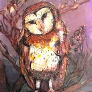 Barn_owl_by_jetjames-d46ca6f_card