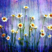 Norwegian_summer_web_card