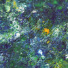 Deepsea1_thumb