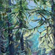 2006medwed_ugode60_40_card