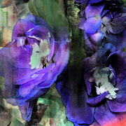 Blue_flowers_card