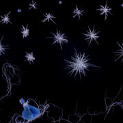 Magical_ride_card