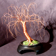 Dark_copper_oak__63-08_card