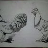 Hen_and_rooster_by_asala95-d46lmk2_thumb