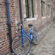 Img_0258_card