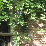 Img_0269_card