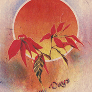 Lalupate__nepal__card