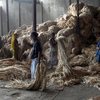 Thejuteworkers_thumb