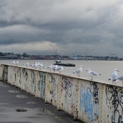 Img_0492_inset_card