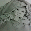 Bib_wtm_thumb