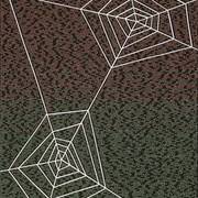 Web_card