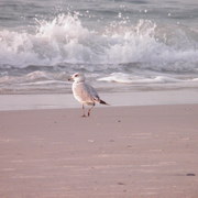 P8071672_card