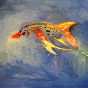 Dolphin_card