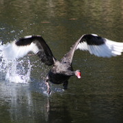 Img_8986_card