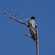 Img_8743_card