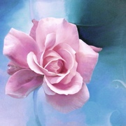100_0209_card