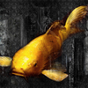 Koi_in_the_dark_thumb