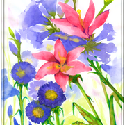 Linn_card