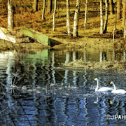 _mg_2904__1_x_copy_card