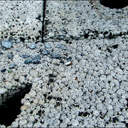 Dscf4708_copy_card