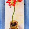 Growing-love_thumb
