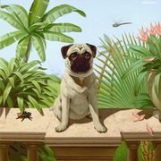 Pug_in_spiderland__web_card