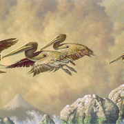 Pelicans_75x200cm__card
