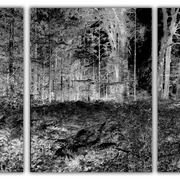 Untitled-4_card