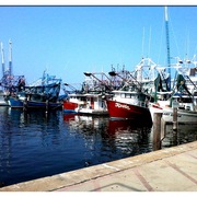 Boat1_card