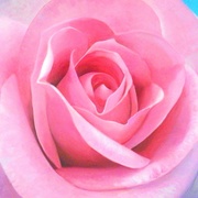 100_0203_card