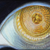 Eye_thumb