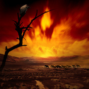 Landscape_ii_card