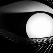 The-eye_card