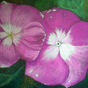 Chatias_card