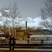 ______3696_card
